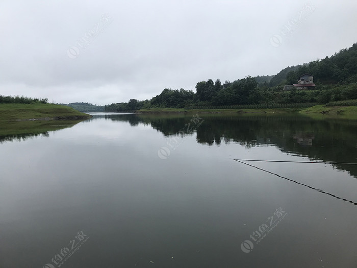 鲁班水库风雨无阻 - 钓鱼之家