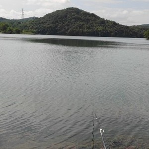 安基山水库_安基山水库地址_安基山水库电话 - 钓鱼之