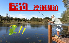 《全球钓鱼集锦》探钓澳洲湖泊，竟然钓上四只脚的家伙！