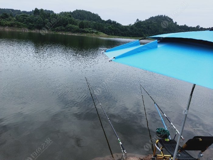 游钓中国→鲁班湖之行 - 钓鱼之家