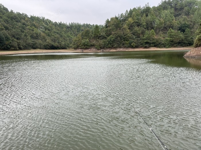 收费:150元/天青年水库天气预报 钓场简介 钓场位于湖南省衡阳市衡南