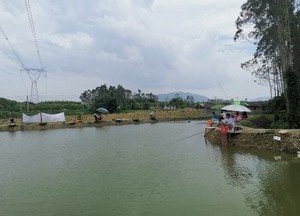 金门钓场钓鱼天气