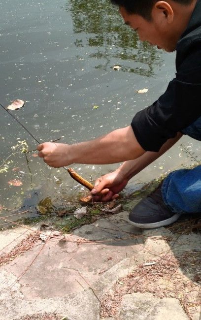 垂釣黃鱔魚技巧選擇釣點和如何用鉤