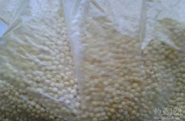 自制玉米糝小米大米混合型鯽魚鯉魚窩料