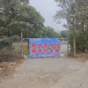 锦鸿鱼塘