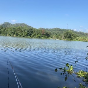 太阳坑天气预报