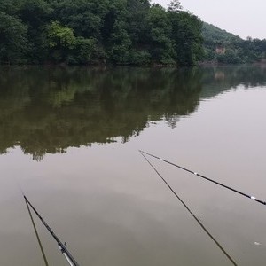 魏家河水库