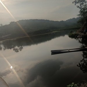 宝华象鼻子钓场