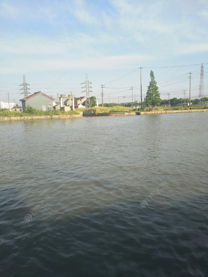 新张泾河