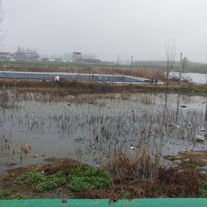 三合村野塘