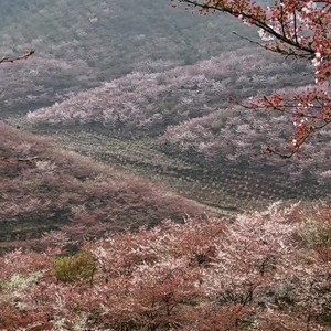 贵州丰祺生态种养殖有限公司