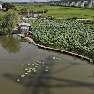 代家湖休闲钓场