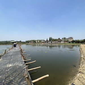 天天鱼塘生态垂钓园（可钓龙虾）