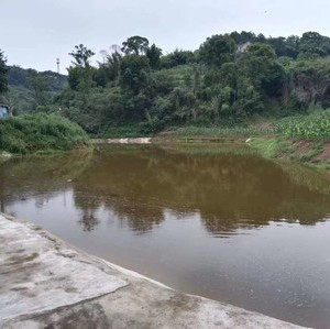 泸州市江阳区陈积燕家庭农场休闲钓了天气预报