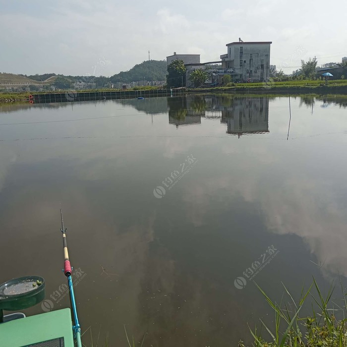 湖田中心钓鱼场