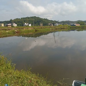 湖田中心钓鱼场