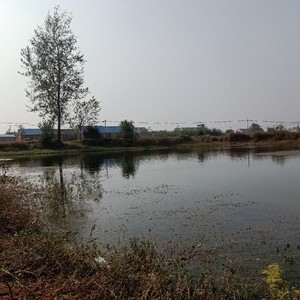 濉河泗灵段