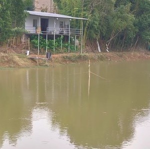 浦口黄家地大塘