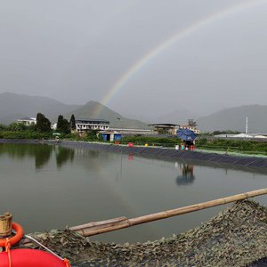 小太阳垂钓场天气预报