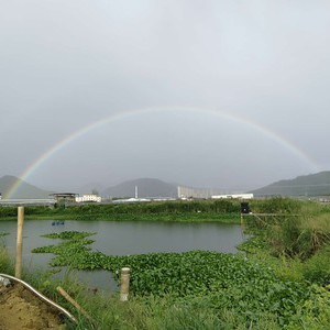 小太阳垂钓场