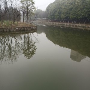 丰泽路河