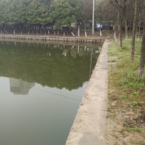 丰泽路河