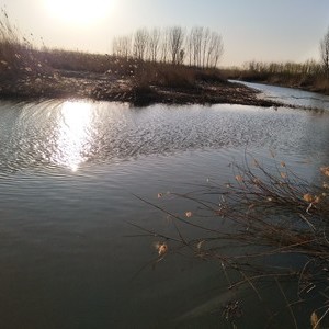 淄河