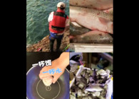 《東北漁事》遼寧眾信紅海哥爆風3合1海釣就是好使