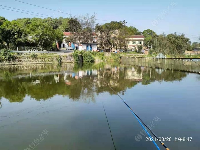 湘媛钓鱼场