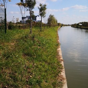 中泾河