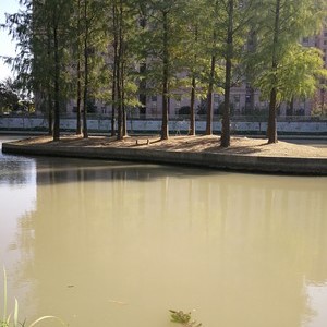 黄姑塘河