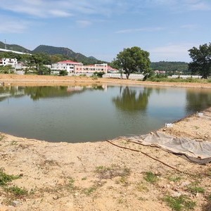 茅店万嵩黑坑钓场