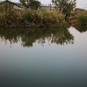 蓬朗中心河