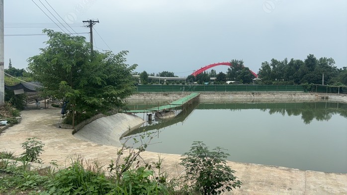 罗家桥生态休闲垂钓园