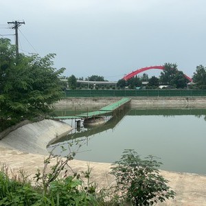 罗家桥生态休闲垂钓园