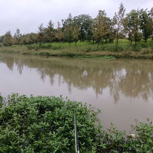 毛河沿天气预报