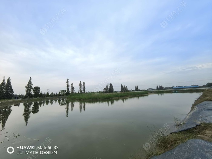 阳华家庭农场