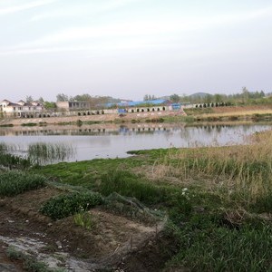 知方河