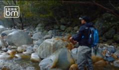 《蓝旗鱼路亚》蓝微物Vlog | 深秋的清溪江，钓起一抹最艳丽的细鳞！