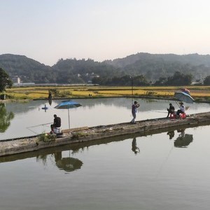 华山红林巨物钓场