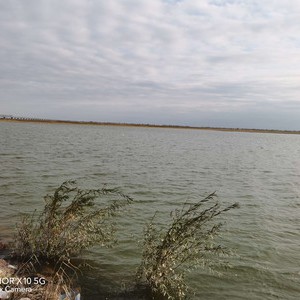 黄河与昆都仑河交汇口天气预报