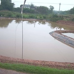 黑桃湾垂钓场