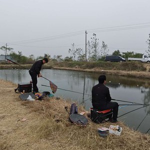 小欢垂钓园天气预报