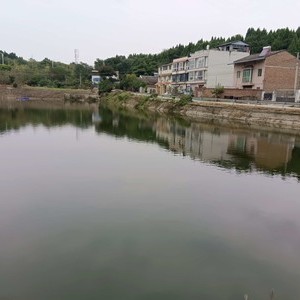 郑家新堰钓场天气预报