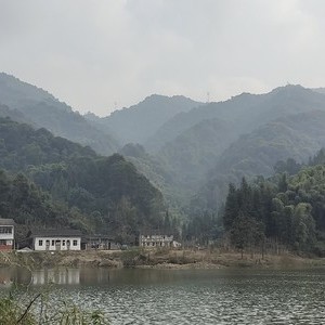 杨高路水库