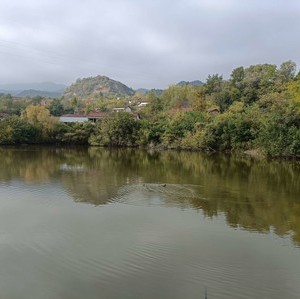 杨家湾钓场