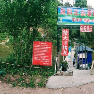 泸州市向阳生态垂钓中心