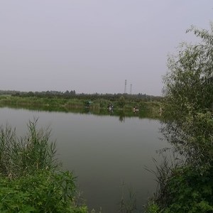 龙湖湿地公园
