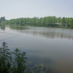 唐白河