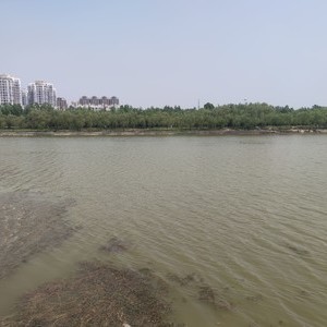 洙水河公园